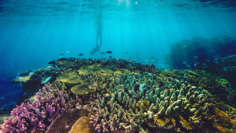 Underwater hotel Great Barrier Reef